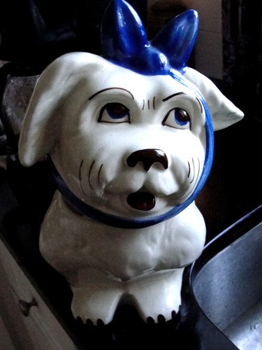 Muggsy dog toothache cookie - muggsy,